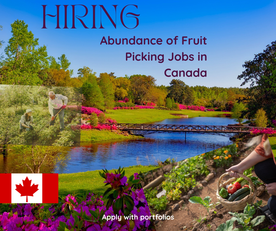 Abundance of Fruit Picking Jobs in Canada